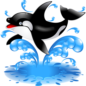 Killer whale PNG-71257